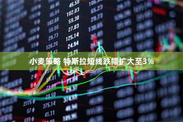 小麦策略 特斯拉短线跌幅扩大至3%