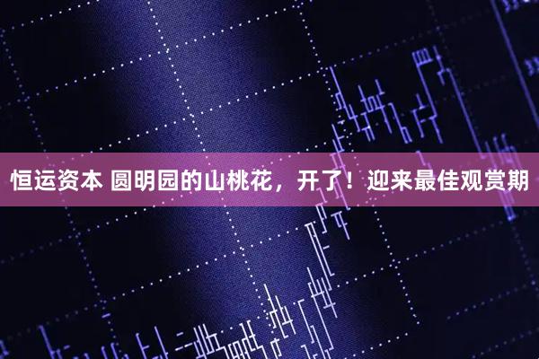 恒运资本 圆明园的山桃花，开了！迎来最佳观赏期